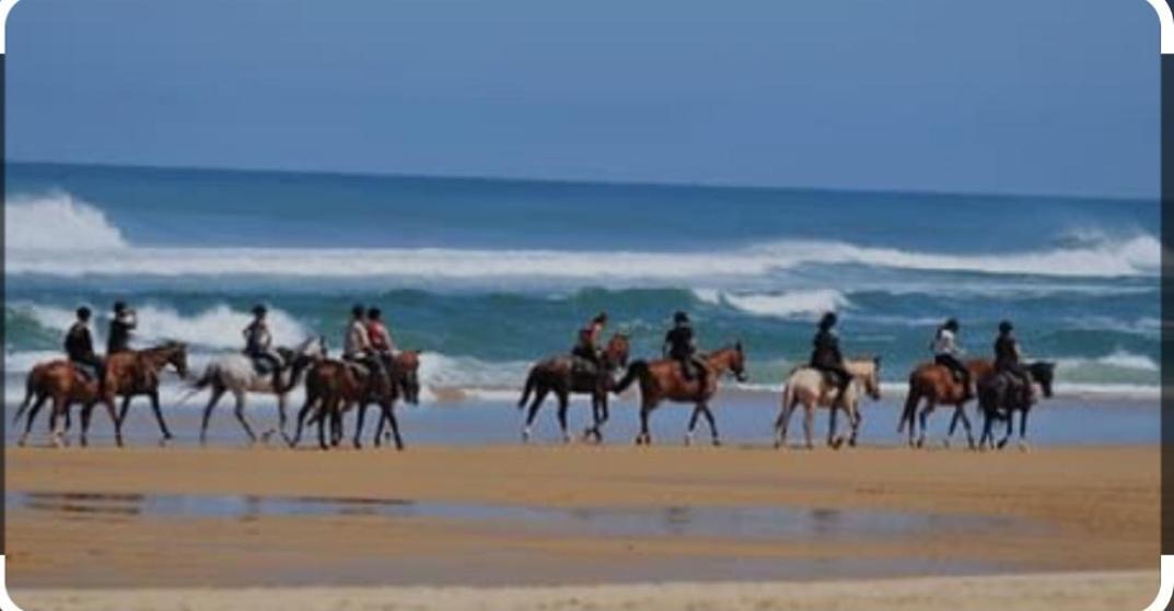 Hebergement Bord De Mer Casablanca Kültér fotó